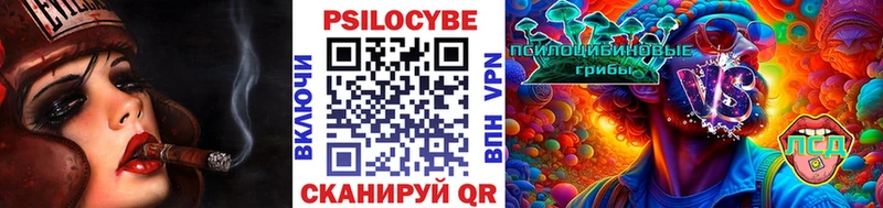закладка  Новое Девяткино  Псилоцибиновые грибы Cubensis 